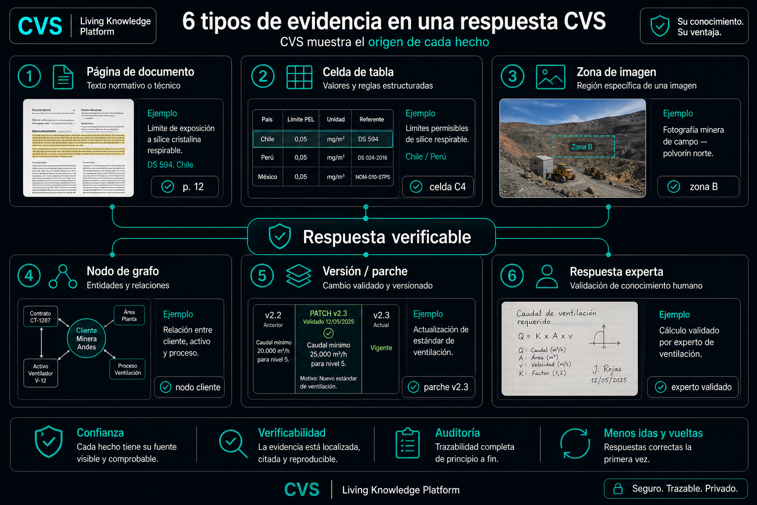 Seis tipos de prueba, cada uno entregado como prueba citada.
